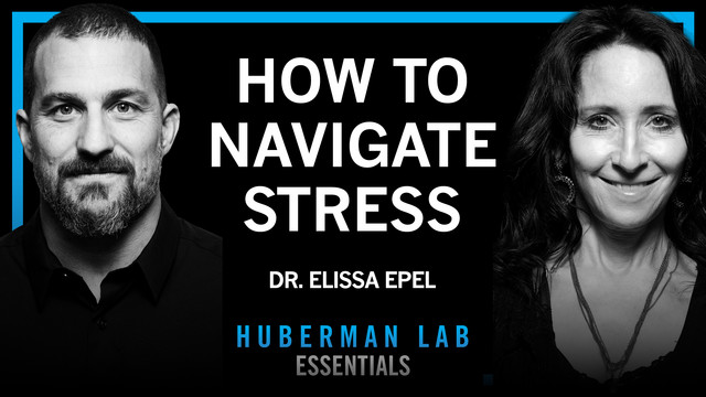 Live: Huberman Lab